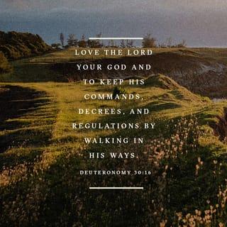 Deuteronomy 30:15-19 - “Now listen! Today I am giving you a choice between life and death, between prosperity and disaster. For I command you this day to love the LORD your God and to keep his commands, decrees, and regulations by walking in his ways. If you do this, you will live and multiply, and the LORD your God will bless you and the land you are about to enter and occupy.
“But if your heart turns away and you refuse to listen, and if you are drawn away to serve and worship other gods, then I warn you now that you will certainly be destroyed. You will not live a long, good life in the land you are crossing the Jordan to occupy.
“Today I have given you the choice between life and death, between blessings and curses. Now I call on heaven and earth to witness the choice you make. Oh, that you would choose life, so that you and your descendants might live!