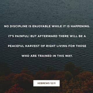 Hebrews 12:11 - No discipline seems pleasant at the time, but painful. Later on, however, it produces a harvest of righteousness and peace for those who have been trained by it.