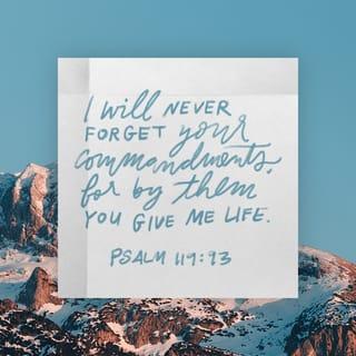 Psalms 119:93 - I will never forget Your precepts,
For by them You have given me life.