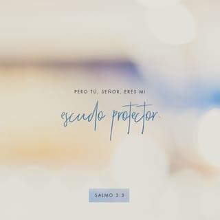 Salmos 3:3 - 3 (4) Pero tú, Señor,
eres mi escudo protector,
eres mi gloria,
eres quien me reanima.