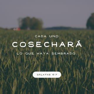 Gálatas 6:7-10 - No se engañen ustedes: nadie puede burlarse de Dios. Lo que se siembra, se cosecha. El que siembra en los malos deseos, de sus malos deseos recogerá una cosecha de muerte. El que siembra en el Espíritu, del Espíritu recogerá una cosecha de vida eterna. Así que no debemos cansarnos de hacer el bien; porque si no nos desanimamos, a su debido tiempo cosecharemos. Por eso, siempre que podamos, hagamos bien a todos, y especialmente a nuestros hermanos en la fe.