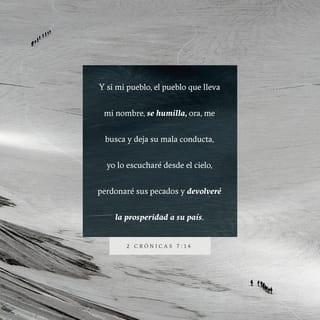 2 Crónicas 7:14 - y si mi pueblo, el pueblo que lleva mi nombre, se humilla, ora, me busca y deja su mala conducta, yo lo escucharé desde el cielo, perdonaré sus pecados y devolveré la prosperidad a su país.