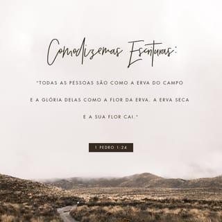 1Pedro 1:24-25 - Pois
“todas as pessoas são como a relva,
e toda a sua glória como a flor da relva.
A relva murcha, e cai a sua flor,
mas a palavra do Senhor permanece para sempre”.
Esta é a palavra que foi anunciada a vocês.