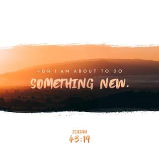 Isaiah 43:19 - Behold, I will do a new thing,
Now it shall spring forth;
Shall you not know it?
I will even make a road in the wilderness
And rivers in the desert.