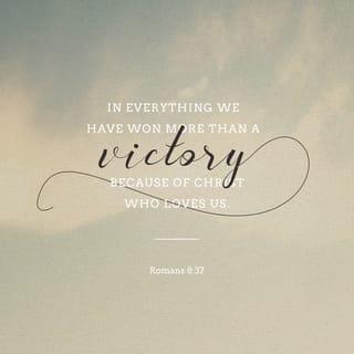 Romans 8:37 - No, in all these things we are more than conquerors through him who loved us.