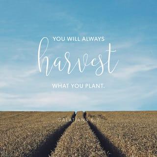 Galatians 6:7 - Do not be fooled: You cannot cheat God. People harvest only what they plant.