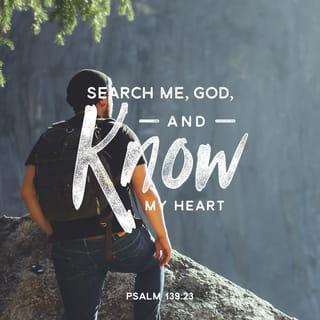 Psalms 139:22-24 NCV