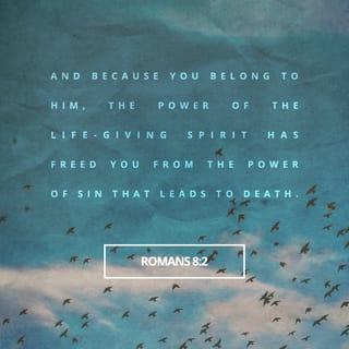 Romans 8:1-18 - There is therefore now no condemnation to those who are in Christ Jesus, who do not walk according to the flesh, but according to the Spirit. For the law of the Spirit of life in Christ Jesus has made me free from the law of sin and death. For what the law could not do in that it was weak through the flesh, God did by sending His own Son in the likeness of sinful flesh, on account of sin: He condemned sin in the flesh, that the righteous requirement of the law might be fulfilled in us who do not walk according to the flesh but according to the Spirit. For those who live according to the flesh set their minds on the things of the flesh, but those who live according to the Spirit, the things of the Spirit. For to be carnally minded is death, but to be spiritually minded is life and peace. Because the carnal mind is enmity against God; for it is not subject to the law of God, nor indeed can be. So then, those who are in the flesh cannot please God.
But you are not in the flesh but in the Spirit, if indeed the Spirit of God dwells in you. Now if anyone does not have the Spirit of Christ, he is not His. And if Christ is in you, the body is dead because of sin, but the Spirit is life because of righteousness. But if the Spirit of Him who raised Jesus from the dead dwells in you, He who raised Christ from the dead will also give life to your mortal bodies through His Spirit who dwells in you.

Therefore, brethren, we are debtors—not to the flesh, to live according to the flesh. For if you live according to the flesh you will die; but if by the Spirit you put to death the deeds of the body, you will live. For as many as are led by the Spirit of God, these are sons of God. For you did not receive the spirit of bondage again to fear, but you received the Spirit of adoption by whom we cry out, “Abba, Father.” The Spirit Himself bears witness with our spirit that we are children of God, and if children, then heirs—heirs of God and joint heirs with Christ, if indeed we suffer with Him, that we may also be glorified together.

For I consider that the sufferings of this present time are not worthy to be compared with the glory which shall be revealed in us.