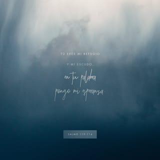 Salmos 119:114 - Tú eres mi refugio y mi escudo;
tu palabra es la fuente de mi esperanza.