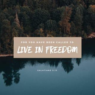 Galatians 5:13 - For ye, brethren, were called for freedom; only use not your freedom for an occasion to the flesh, but through love be servants one to another.