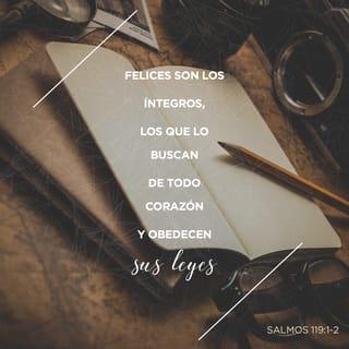 Salmo 119:2 - ¡Cuán bienaventurados son los que guardan sus testimonios,
y con todo el corazón le buscan!