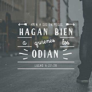 S. Lucas 6:27-28 - Pero a vosotros los que oís, os digo: Amad a vuestros enemigos, haced bien a los que os aborrecen; bendecid a los que os maldicen, y orad por los que os calumnian.