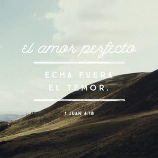 1 Juan 4:18 - Donde hay amor no hay miedo. Al contrario, el amor perfecto echa fuera el miedo, pues el miedo supone el castigo. Por eso, si alguien tiene miedo, es que no ha llegado a amar perfectamente.