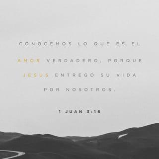 1 Juan 3:16 - En esto conocemos lo que es el amor: en que Jesucristo entregó su vida por nosotros. Así también nosotros debemos entregar la vida por nuestros hermanos.