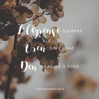 1 Tesalonicenses 5:16-18 - Estad siempre gozosos. Orad sin cesar. Dad gracias en todo, porque esta es la voluntad de Dios para con vosotros en Cristo Jesús.