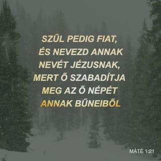 Máté 1:21 - Fiút fog szülni, akit nevezz el Jézusnak, mert ő szabadítja meg népét bűneiből.”