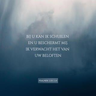 Psalmen 119:114 - Bij U ben ik veilig, U beschermt mij als een schild.
Ik verwacht alles van uw woord.