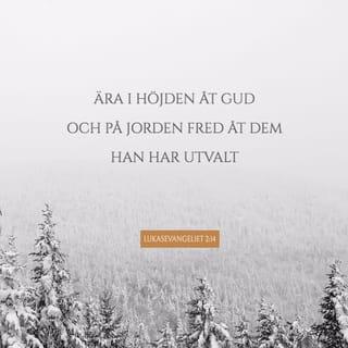 Lukas 2:13-14 - Och plötsligt var ängeln omgiven av en stor himmelsk här som prisade Gud:
”Ära till Gud i höjden,
och frid på jorden, till dem som hans välvilja vilar över.”