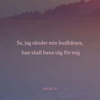 Malaki 3:1 - Se, jag skall sända ut min ängel,  och han skall bereda väg för mig.  Och med hast skall han komma till sitt tempel,  den Herre, som I åstunden,  ja, förbundets ängel, som I begären,  se, han kommer,  säger HERREN Sebaot.