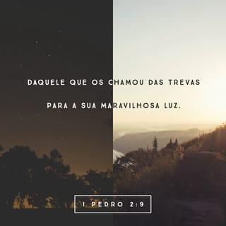 1Pedro 2:9-10 - Vós, porém, sois raça eleita, sacerdócio real, nação santa, povo de propriedade exclusiva de Deus, a fim de proclamardes as virtudes daquele que vos chamou das trevas para a sua maravilhosa luz; vós, sim, que, antes, não éreis povo, mas, agora, sois povo de Deus, que não tínheis alcançado misericórdia, mas, agora, alcançastes misericórdia.