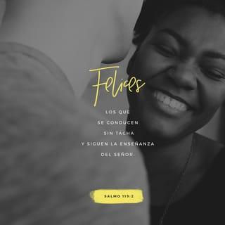 Salmos 119:1-24 - Felices son los íntegros,
los que siguen las enseñanzas del SEÑOR.
Felices son los que obedecen sus leyes
y lo buscan con todo el corazón.
No negocian con el mal
y andan solo en los caminos del SEÑOR.
Nos has ordenado
que cumplamos cuidadosamente tus mandamientos.
¡Oh, cuánto deseo que mis acciones
sean un vivo reflejo de tus decretos!
Entonces no tendré vergüenza
cuando compare mi vida con tus mandatos.
A medida que aprendo tus justas ordenanzas,
te daré las gracias viviendo como debo hacerlo.
Obedeceré tus decretos;
¡por favor, no te des por vencido conmigo!

¿Cómo puede un joven mantenerse puro?
Obedeciendo tu palabra.
Me esforcé tanto por encontrarte;
no permitas que me aleje de tus mandatos.
He guardado tu palabra en mi corazón,
para no pecar contra ti.
Te alabo, oh SEÑOR;
enséñame tus decretos.
Recité en voz alta
todas las ordenanzas que nos has dado.
Me alegré en tus leyes
tanto como en las riquezas.
Estudiaré tus mandamientos
y reflexionaré sobre tus caminos.
Me deleitaré en tus decretos
y no olvidaré tu palabra.

Sé bueno con este siervo tuyo,
para que viva y obedezca tu palabra.
Abre mis ojos, para que vea
las verdades maravillosas que hay en tus enseñanzas.
No soy más que un extranjero en la tierra.
¡No escondas de mí tus mandatos!
Siempre me conmueve
el deseo de conocer tus ordenanzas.
Tú reprendes al arrogante;
los que se alejan de tus mandatos son malditos.
No permitas que se burlen de mí y me insulten,
pues he obedecido tus leyes.
Hasta los príncipes se sientan y hablan contra mí,
pero yo meditaré en tus decretos.
Tus leyes me agradan;
me dan sabios consejos.