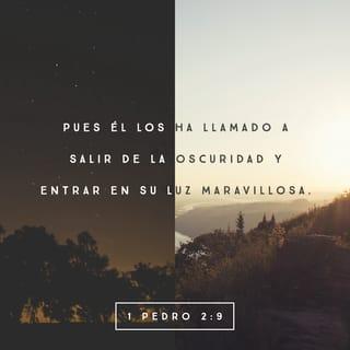 1 Pedro 2:9 - Pero ustedes no son así porque son un pueblo elegido. Son sacerdotes del Rey, una nación santa, posesión exclusiva de Dios. Por eso pueden mostrar a otros la bondad de Dios, pues él los ha llamado a salir de la oscuridad y entrar en su luz maravillosa.