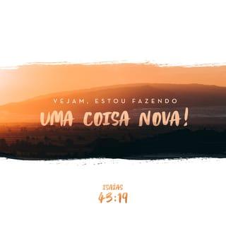 Isaías 43:19 - Vejam, estou fazendo uma coisa completamente nova, algo que já comecei a realizar; será que vocês ainda não perceberam? Vou abrir uma grande estrada no deserto, e no meio da terra seca farei correr riachos!