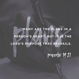 Proverbs 19:21 - Many are the plans in a person’s heart,
but it is the LORD’s purpose that prevails.