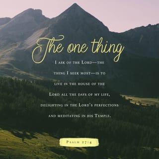 Psalm 27:4 - One thing have I asked of the LORD,
that will I seek after:
that I may dwell in the house of the LORD
all the days of my life,
to gaze upon the beauty of the LORD
and to inquire in his temple.