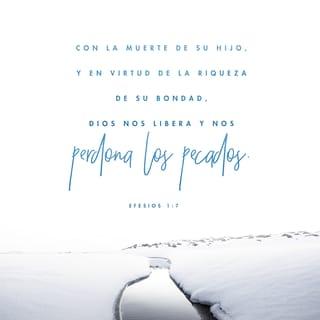 Efesios 1:7-8 - Dios es tan rico en gracia y bondad que compró nuestra libertad con la sangre de su Hijo y perdonó nuestros pecados. Él desbordó su bondad sobre nosotros junto con toda la sabiduría y el entendimiento.