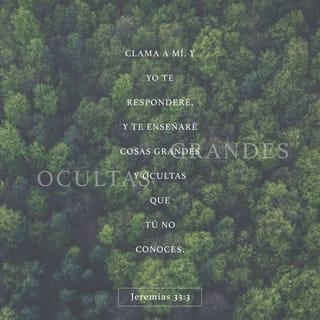 Jeremías 33:3 - Clama a mí, y yo te responderé, y te enseñaré cosas grandes y ocultas que tú no conoces.