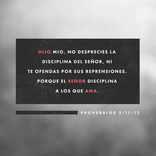 Proverbios 3:11-12 - Hijo mío, no desprecies la disciplina del SEÑOR
ni te ofendas por sus reprensiones.
Porque el SEÑOR disciplina a los que ama,
como corrige un padre a su hijo querido.