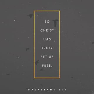 Galatians 5:1-15 - It is for freedom that Christ has set us free. Stand firm, then, and do not let yourselves be burdened again by a yoke of slavery.
Mark my words! I, Paul, tell you that if you let yourselves be circumcised, Christ will be of no value to you at all. Again I declare to every man who lets himself be circumcised that he is obligated to obey the whole law. You who are trying to be justified by the law have been alienated from Christ; you have fallen away from grace. For through the Spirit we eagerly await by faith the righteousness for which we hope. For in Christ Jesus neither circumcision nor uncircumcision has any value. The only thing that counts is faith expressing itself through love.
You were running a good race. Who cut in on you to keep you from obeying the truth? That kind of persuasion does not come from the one who calls you. “A little yeast works through the whole batch of dough.” I am confident in the Lord that you will take no other view. The one who is throwing you into confusion, whoever that may be, will have to pay the penalty. Brothers and sisters, if I am still preaching circumcision, why am I still being persecuted? In that case the offense of the cross has been abolished. As for those agitators, I wish they would go the whole way and emasculate themselves!

You, my brothers and sisters, were called to be free. But do not use your freedom to indulge the flesh; rather, serve one another humbly in love. For the entire law is fulfilled in keeping this one command: “Love your neighbor as yourself.” If you bite and devour each other, watch out or you will be destroyed by each other.