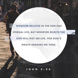 John 3:36 - He that believeth on the Son hath eternal life; but he that obeyeth not the Son shall not see life, but the wrath of God abideth on him.