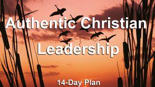 Authentic Christian Leadership Reading Plan De Brief van den Apostel Paulus aan Titus 3:9 Statenvertaling (Importantia edition)