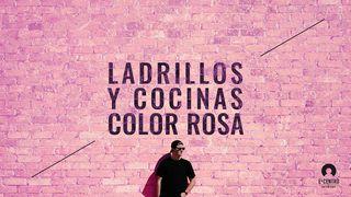 Ladrillos y cocinas color rosa 1 Juan 5:18 Traducción en Lenguaje Actual