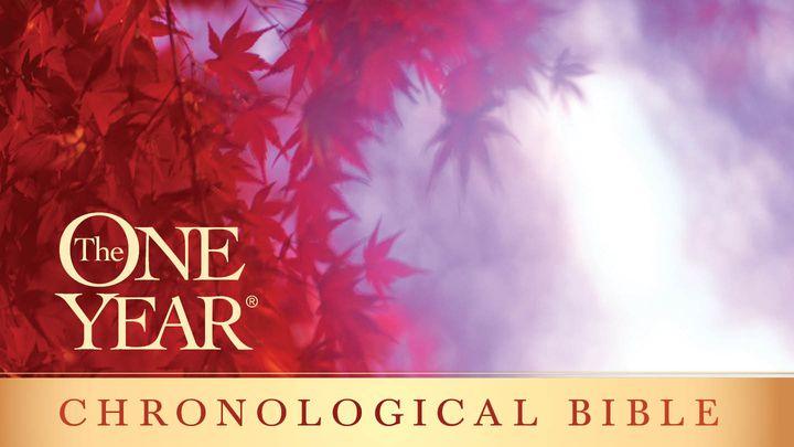The One Year® Chronological Bible 