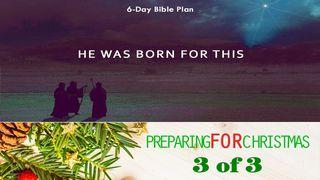 He Was Born For This - Preparing For Christmas Series #3 Matthew 12:18-21 New Living Translation