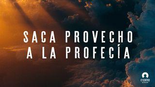 Saca  provecho a la profecía  Apocalipsis 22:2 Nueva Traducción Viviente