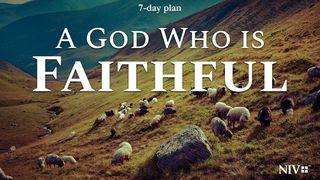 A God Who Is Faithful Ebr 8:1 Maandiko Matakatifu ya Mungu Yaitwayo Biblia