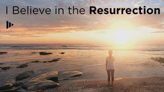 I Believe In The Resurrection யோபு 19:25 இண்டியன் ரிவைஸ்டு வெர்ஸன் (IRV) - தமிழ்