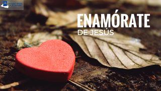 Enamórate de Jesús Salmos 119:35 Nueva Traducción Viviente