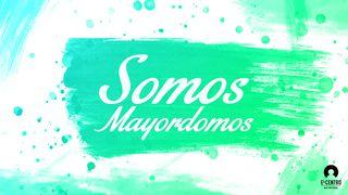 Somos Mayordomos  Job 41:11 Reina Valera Contemporánea