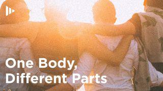 One Body, Different Parts: Devotions From Time Of Grace 1 Corinthians 12:1-3 New Living Translation