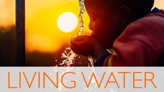 Living Water யாத்திராகமம் 15:23-25 பரிசுத்த வேதாகமம் O.V. (BSI)