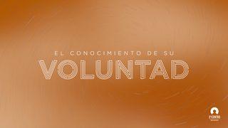 El conocimiento de su voluntad Colosenses 2:6-7 Biblia Dios Habla Hoy