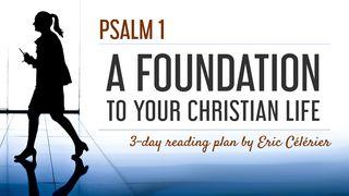 Psalm 1 - A Foundation To Your Christian Life Yela 1:1-2 mzwDBL