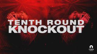 Tenth Round Knockout Exodus 8:24 Contemporary English Version (Anglicised) 2012