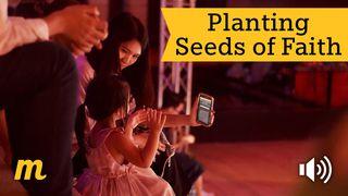 Planting Seeds Of Faith TIMOTHI NSENDƐ 4:12 Sherbro New Testament Portions