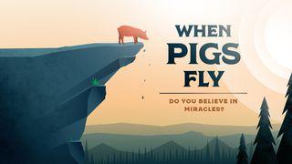 When Pigs Fly Psaltaren 77:14 Svenska Folkbibeln 2015